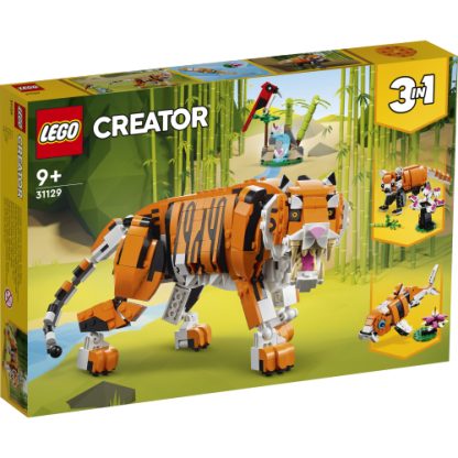 31129 - Tigre Maestosa