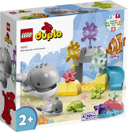 10972 -  Animali dell’Oceano