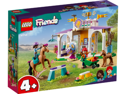 41746 - Addestramento equestre