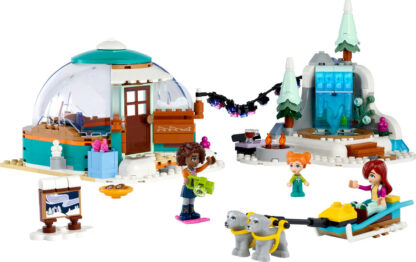 41760-Vacanza in igloo - immagine 4
