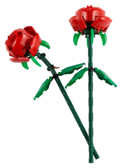 40460-Rose - immagine 2
