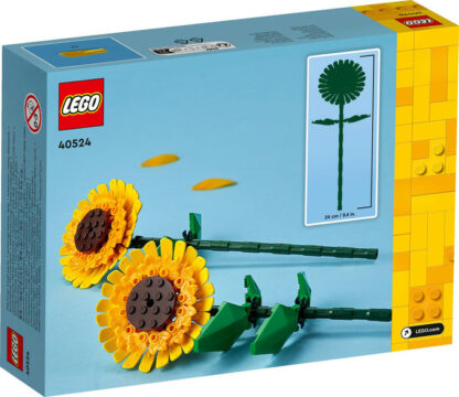 40524-Girasoli - immagine 3