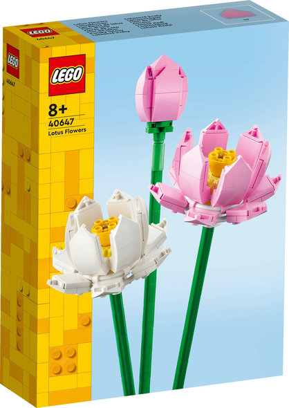 40647- Fior di Loto