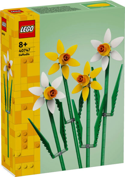 40747-Narcisi