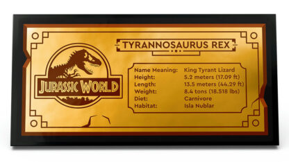 76964-Fossili di dinosauro:Teschio di T.rex - immagine 4