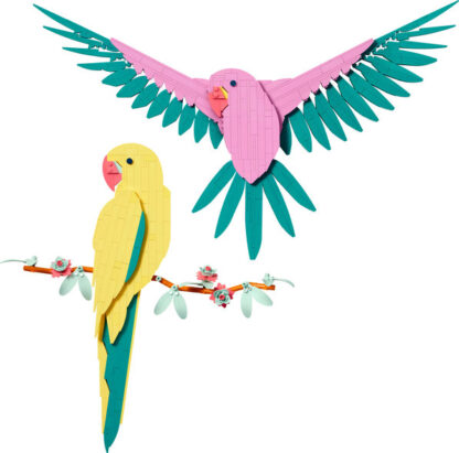 31211- Collezione animali- Pappagalli ara - immagine 3