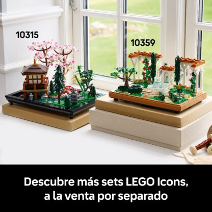 10359 Il giardino della fontana - immagine 2