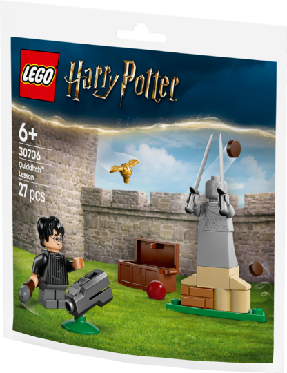 30706 Lezione di Quidditch - immagine 3
