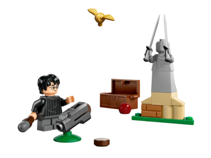 30706 Lezione di Quidditch - immagine 2