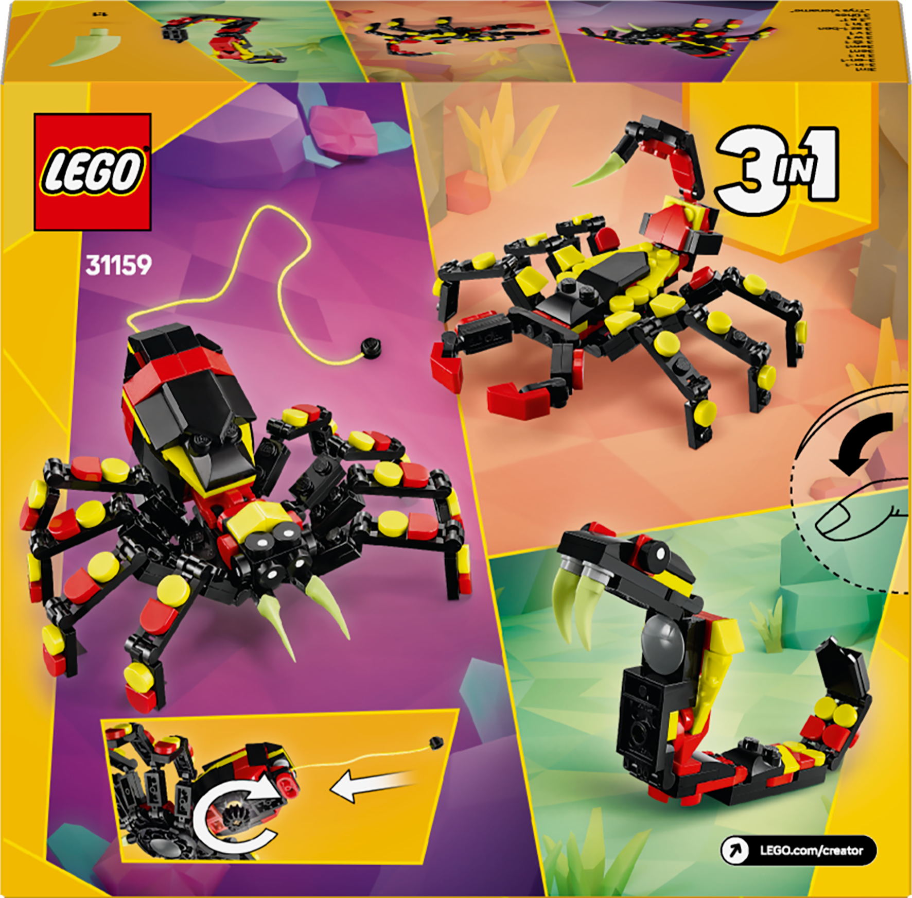 31159 Animali selvatici: ragno trasformista
