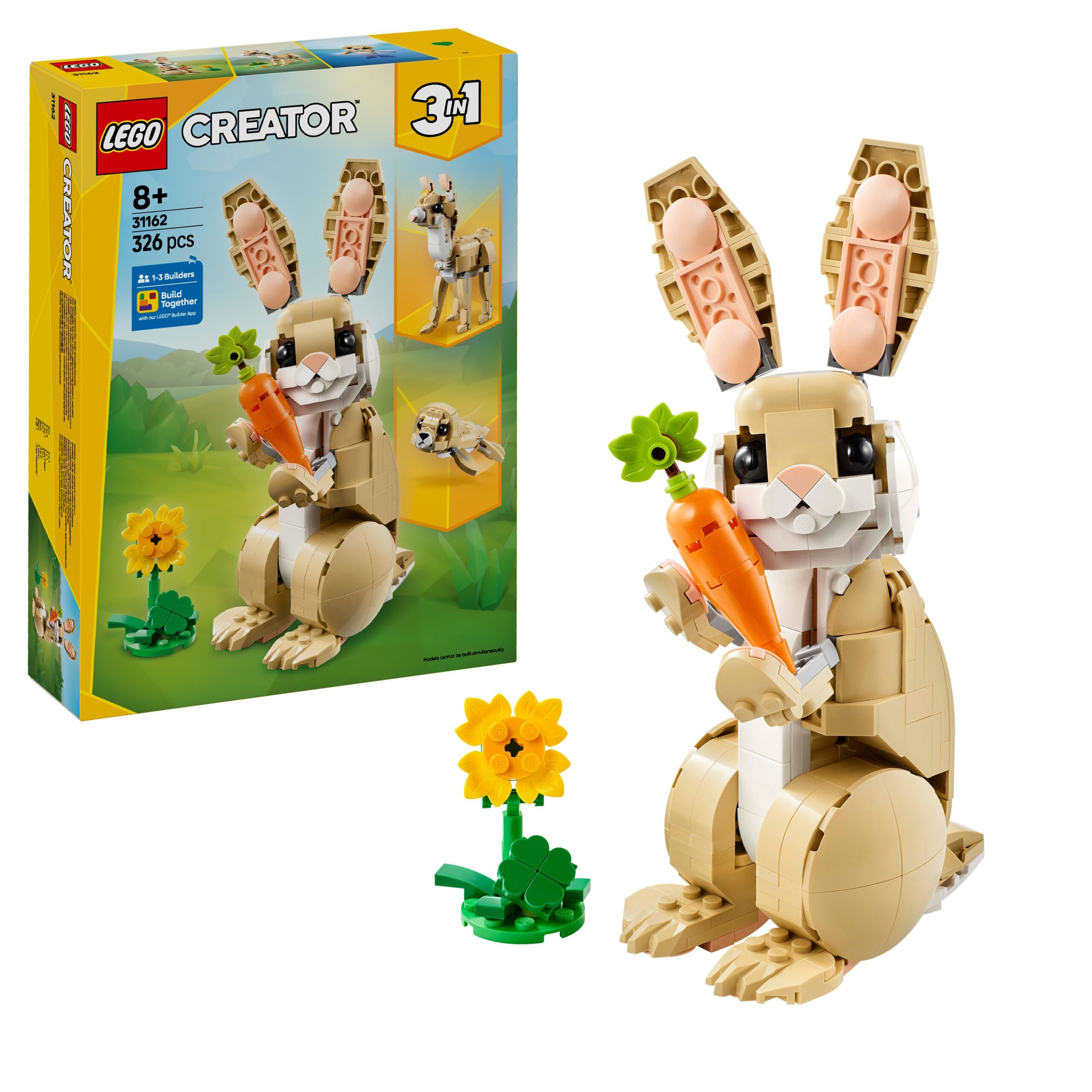 31162 Adorabile Coniglio
