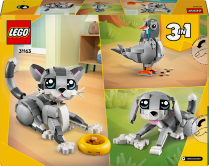 31163 Gatto giocoso - immagine 5