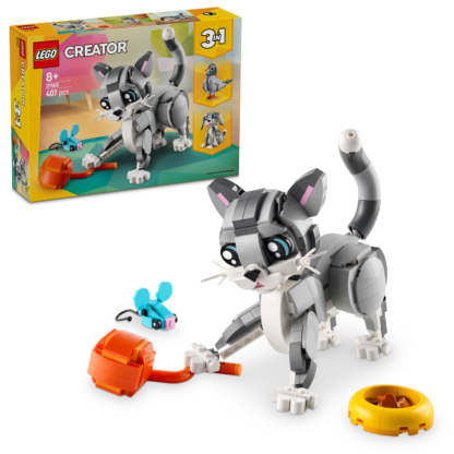 31163 Gatto giocoso