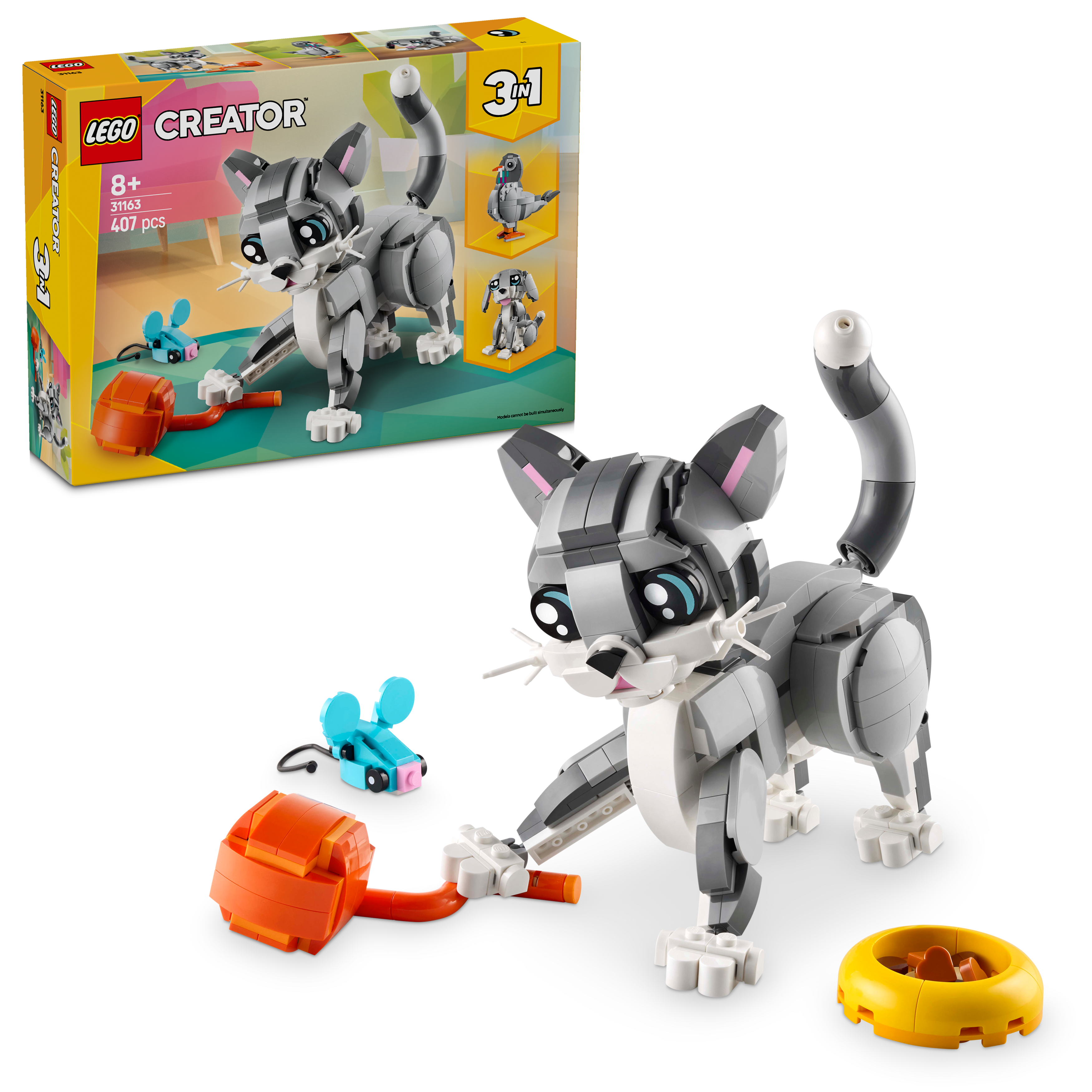 31163 Gatto giocoso