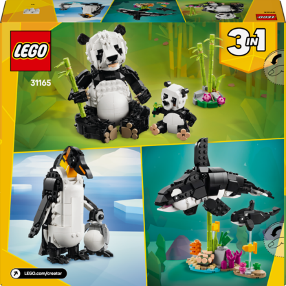 31165 Animali selvatici: famiglia di panda - immagine 4