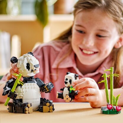31165 Animali selvatici: famiglia di panda - immagine 2