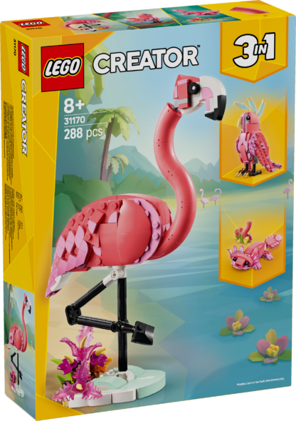 31170 Animali selvatici: fenicottero rosa