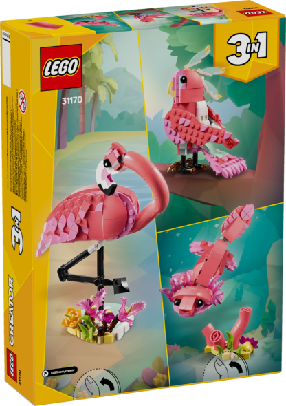 31170 Animali selvatici: fenicottero rosa - immagine 3